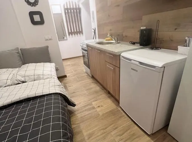 Apartament W Centrum * Gniezno